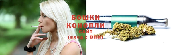 скорость Вяземский