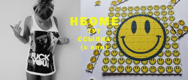 скорость Вяземский