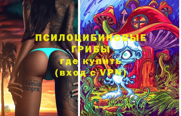 спиды Вязники